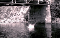 Willy230111 D0007_1024x656