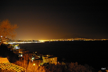 IMGP1901