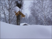 Det snør, det snør Det snør, det snør