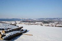 Verdalsøra
