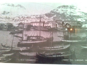Lofotfiske 1950