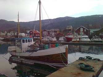 Havna på Inndyr