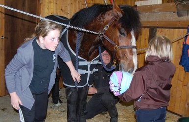 Flott stall_1024x664