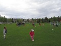 Pics: Fotball