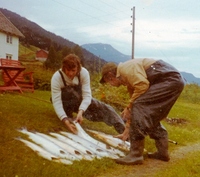 Edgar 19720001