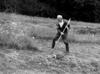 Anders Romundstad