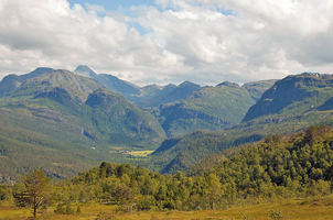 bilde-5_550x364