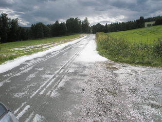 Ved Håkonslia Ved Håkonslia