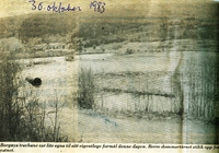 Edgar 1983 3 - under vatn0001_1024x715