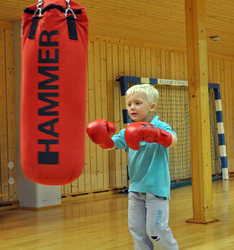 åpen hall11