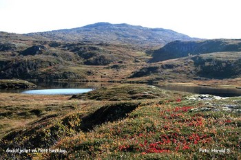 Gaddfjellet&nbsp;sett&nbsp;fra&nbsp;Totjønnin_715x477