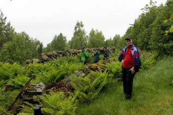 Bergsvein Nes