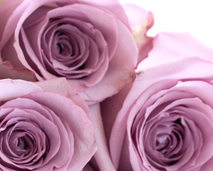 Blomster