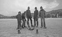 Ishockey 1978