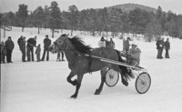 Travkjøring 1978