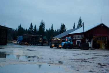 Sagbruket
