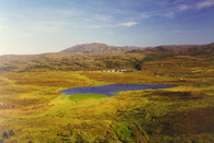 Rundvann Rundvann