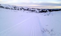 Flotte&nbsp;løyper