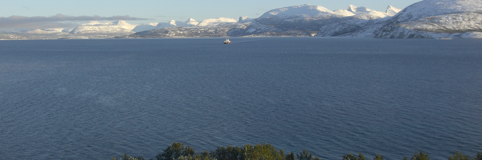 fjordogbaat