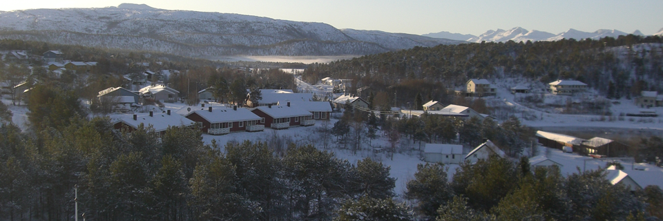 vinter-oversikt