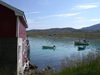Revsneshavn, foto: Lars Bjørn Mehus