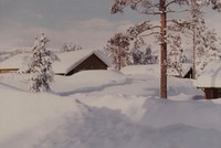 Februar 1968