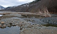 Aune-1