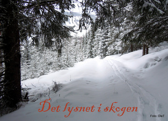 DSCN1781