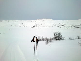 Sæterlia med Storfjellet