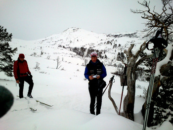 Sæterlia&nbsp;Storfjellet