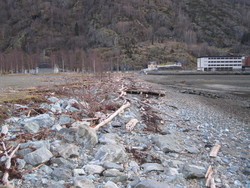 Grandane