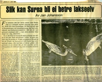 1986 5 Surna bedre elv Jan J 10001_1024x826