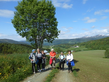 Stavgang Løset DSCN0188_710x533