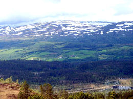 Liagrenda frå Tifjellet juni 2012 (2)