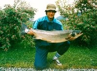 1987 1 Laksen bilter bilde 10001