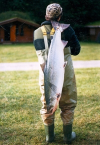 1987 2 bilder B0001 - Kopi