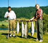 1988 4 bilder C0002