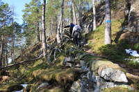 skulevegen til Flessa_1024x683