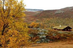 Høst 12 Trond M_1024x683