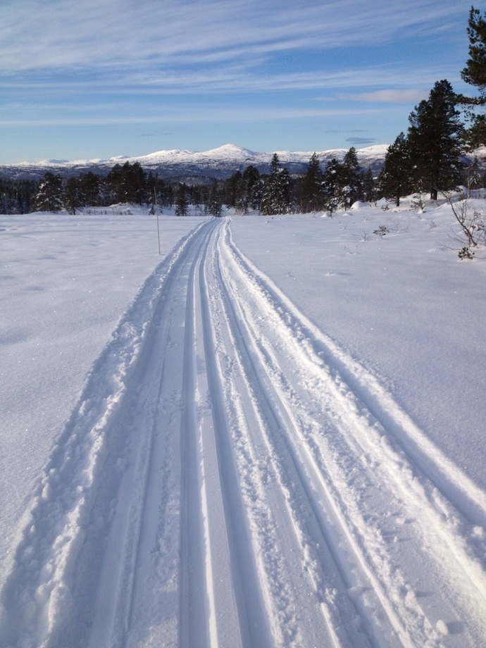 Fine forhold Åsan