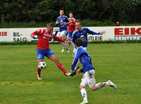 elnes blekken_550x403