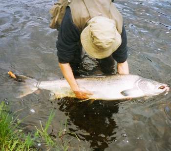 1992 rep bilder C bB0001
