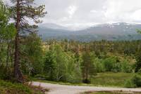 Flo i Trollheimen_1024x687