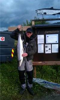 olav hopshaug
