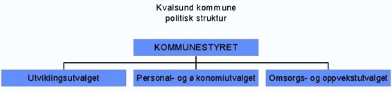 Politisk struktur