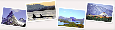diverse bilder
