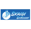 Skaidi  100