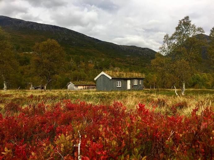 140917 kainab87 Romådalen_690x517