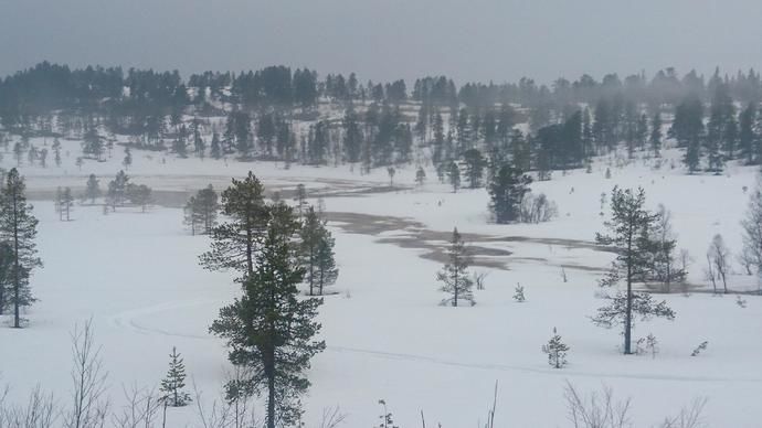 Kringlåttjønna Helgetunmarka 200418_690x388
