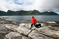 Senja aftenposten